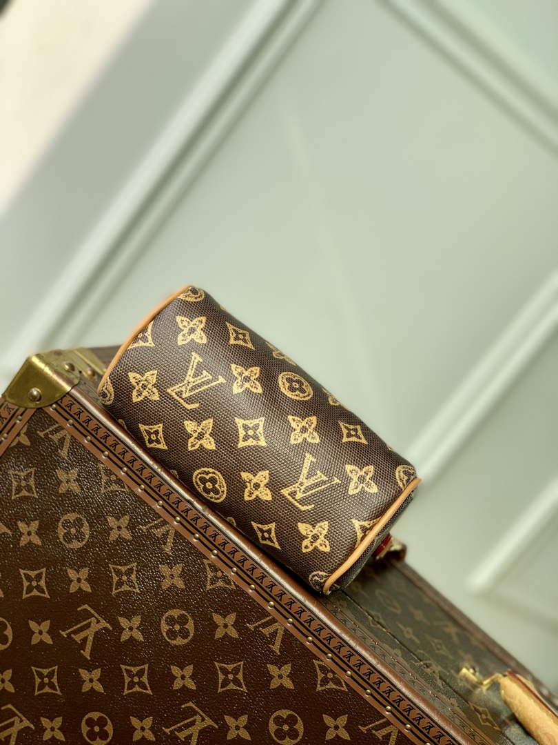 Louis Vuitton Nano Speedy Bag M27610 Monogram Brown