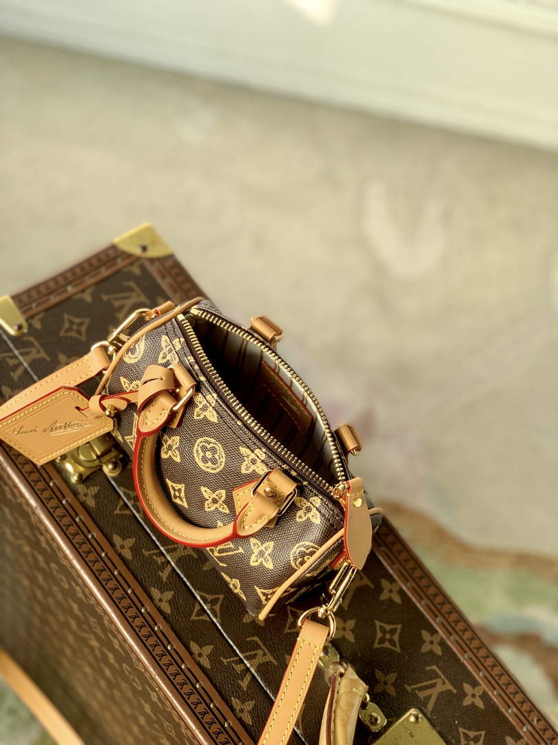 Louis Vuitton Nano Speedy Bag M27610 Monogram Brown