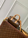 Louis Vuitton Nano Speedy Dating M13226 Coated canvas