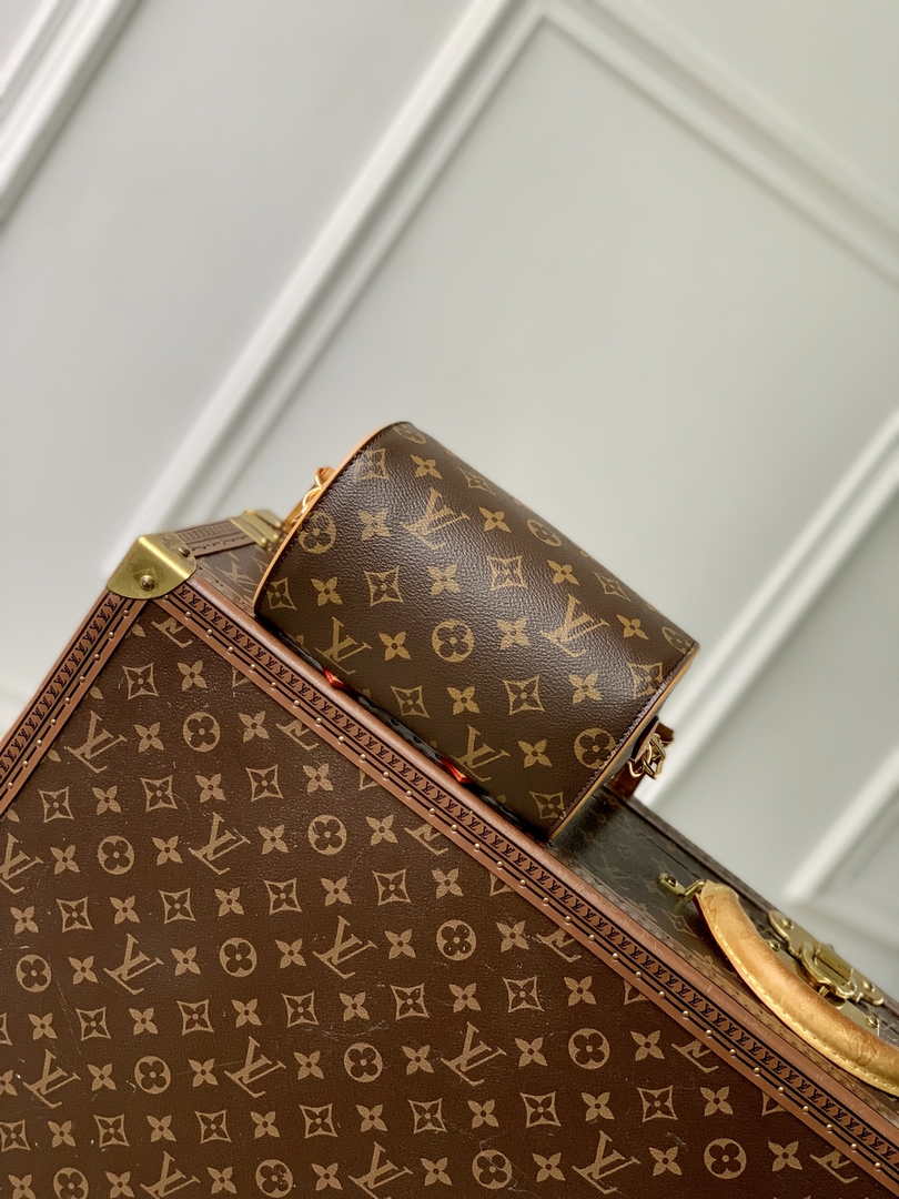 Louis Vuitton Nano Speedy Dating M13226 Coated canvas