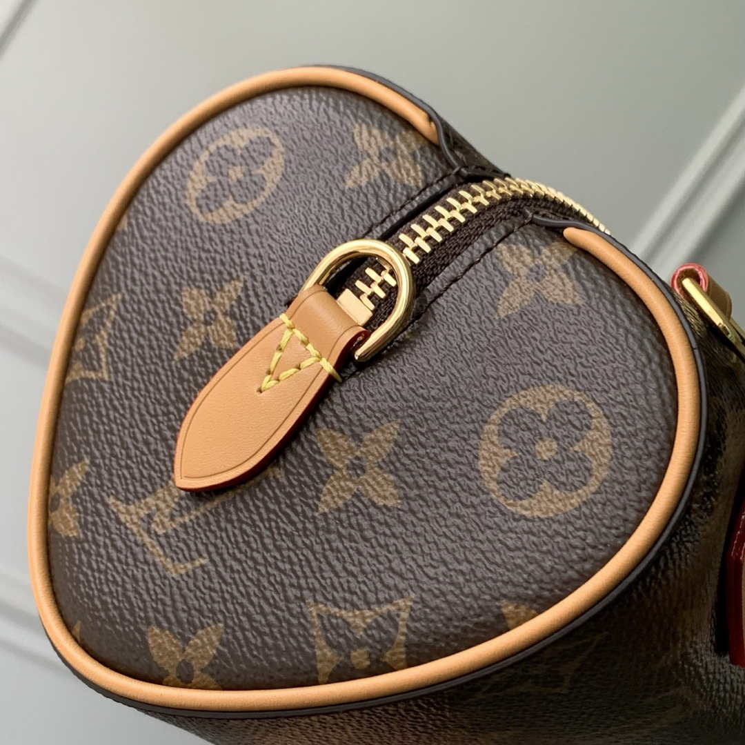 Louis Vuitton Nano Speedy Dating M13226 Coated canvas
