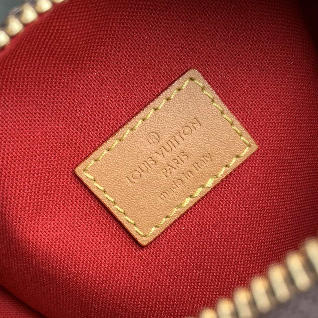 Louis Vuitton Nano Speedy Dating M13226 Coated canvas