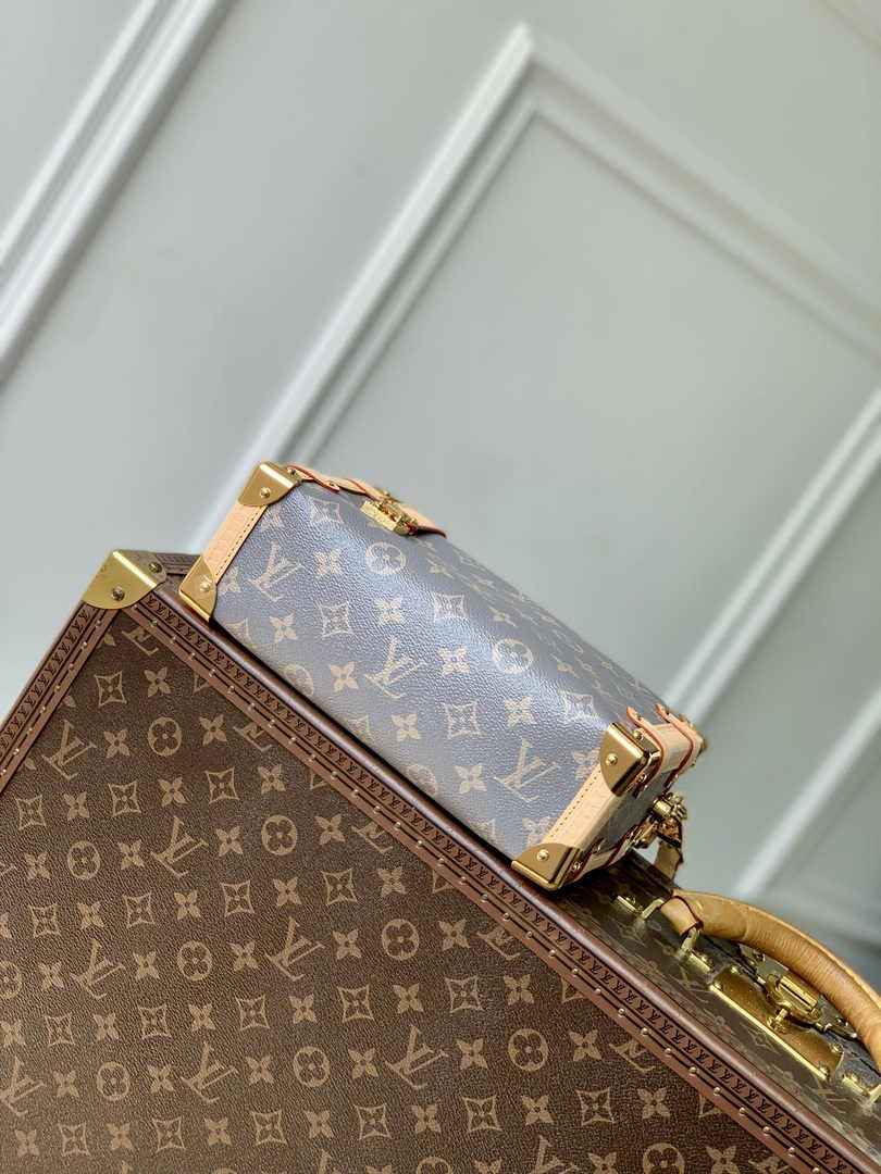 Louis Vuitton Side Trunk MM M12428 Trianon Gray - Default Title - View 4