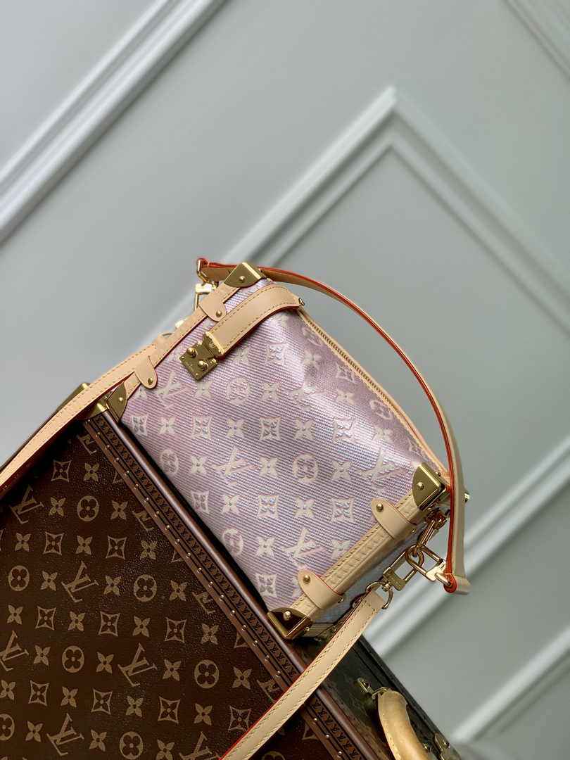 Louis Vuitton Side Trunk MM M22842 - Default Title - View 1