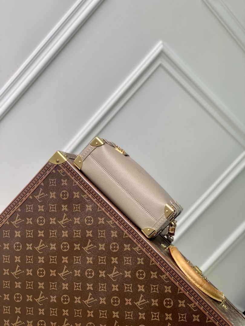 Louis Vuitton Side Trunk MM M25072 Taupe leather - Default Title - View 4