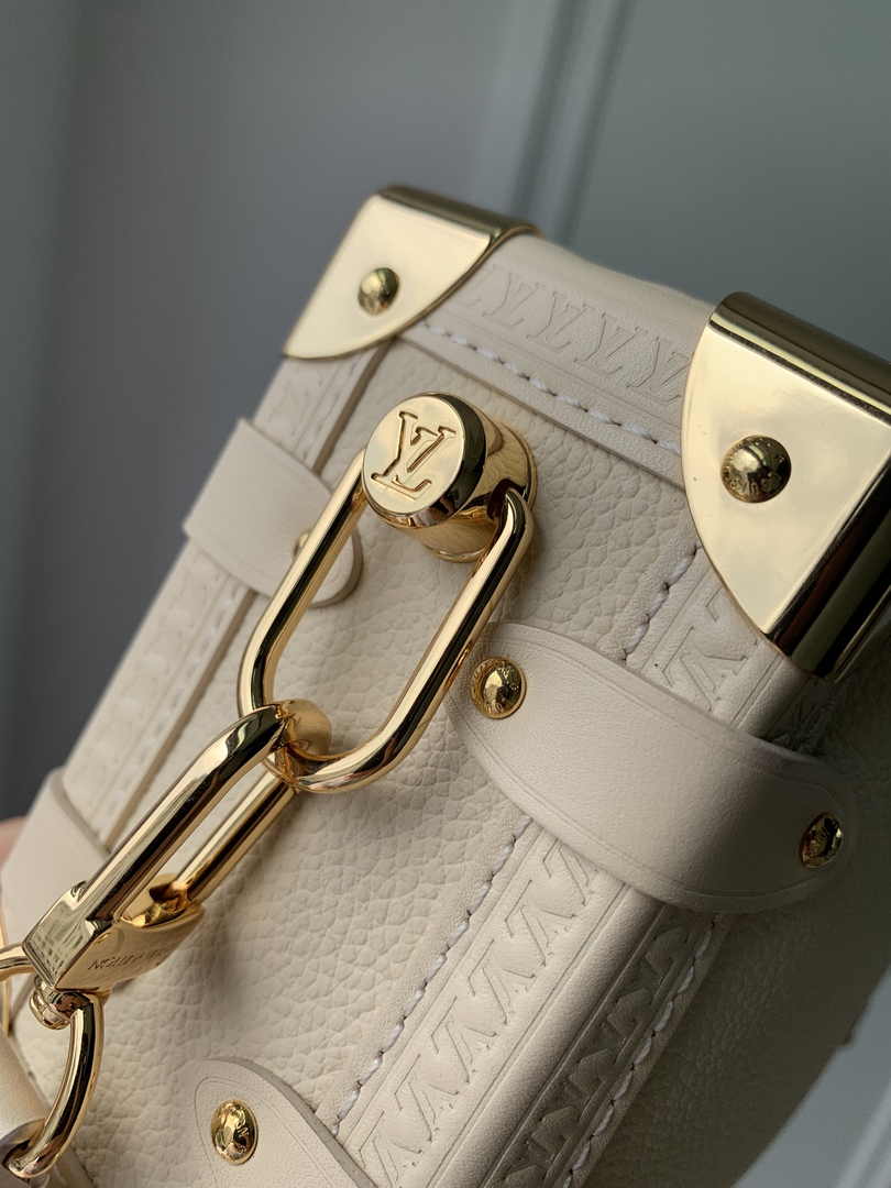 Louis Vuitton Side Trunk MM M25072 Taupe leather - Default Title - View 6