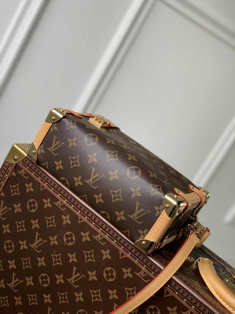 Louis Vuitton Side Trunk MM M46358 Monogram canvas - Default Title - View 5