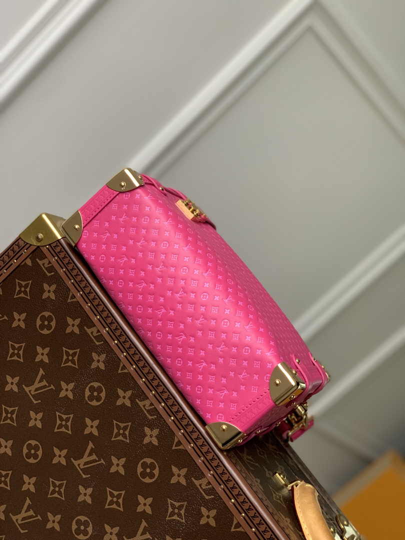 Louis Vuitton Side Trunk MM M46358 Plum Leather - Default Title - View 5