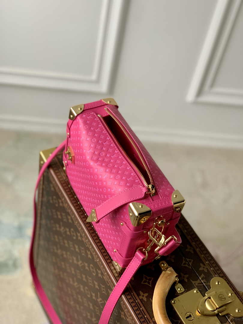 Louis Vuitton Side Trunk MM M46358 Plum Leather - Default Title - View 7
