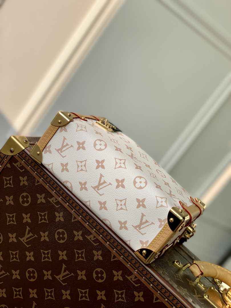 Louis Vuitton Side Trunk MM M46907 Monogram Dune canvas - Default Title - View 4