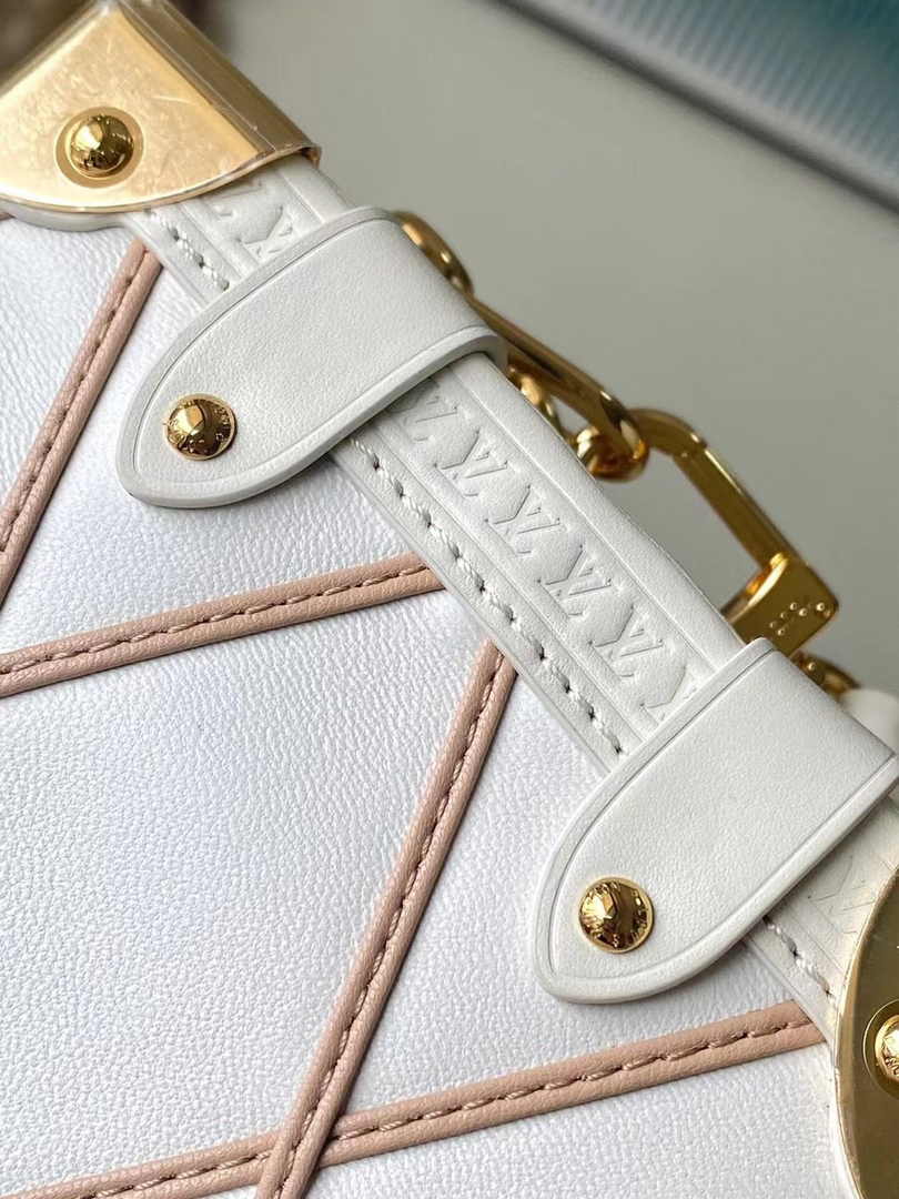 Louis Vuitton Side Trunk PM M25216 Beige Lambskin - Default Title - View 8