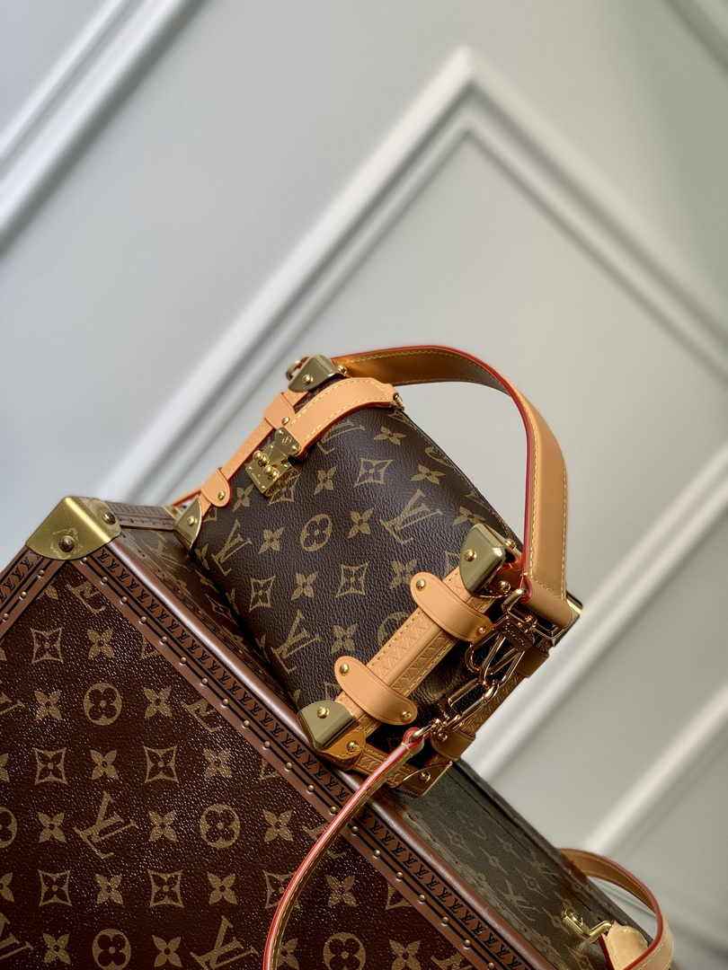 Louis Vuitton Side Trunk PM M46815 Monogram canvas - Default Title - View 3