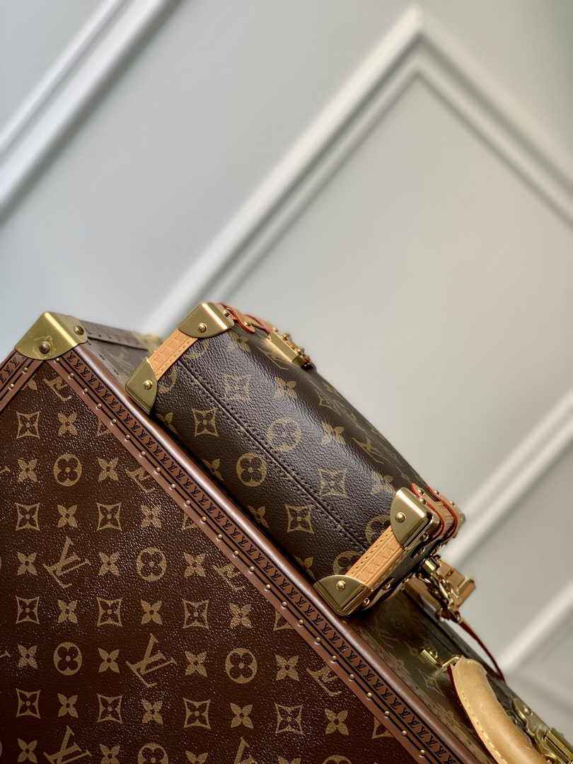 Louis Vuitton Side Trunk PM M46815 Monogram canvas - Default Title - View 4