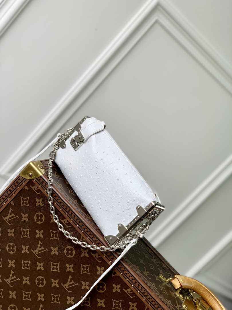 Louis Vuitton Slim Trunk M25445 Beige Ostrich leather - Default Title - View 2