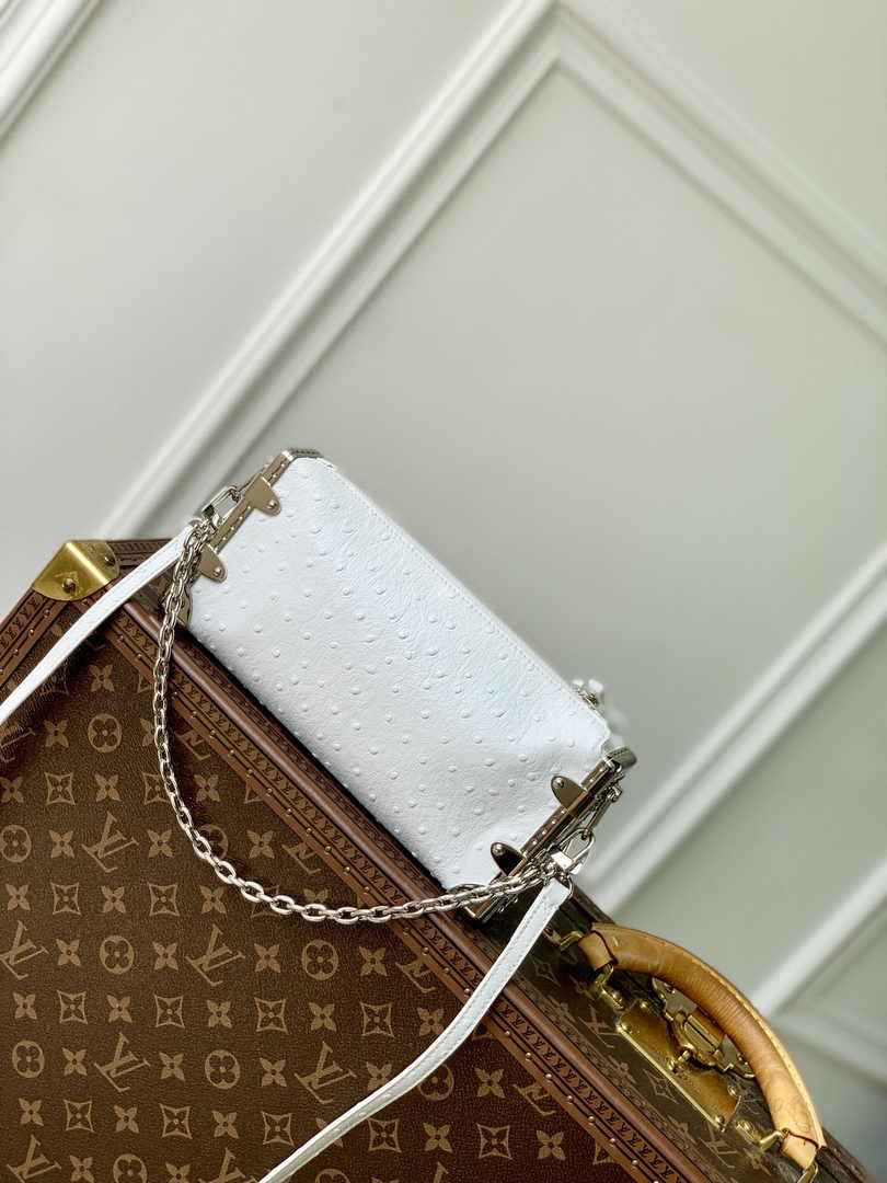 Louis Vuitton Slim Trunk M25445 Beige Ostrich leather - Default Title - View 3