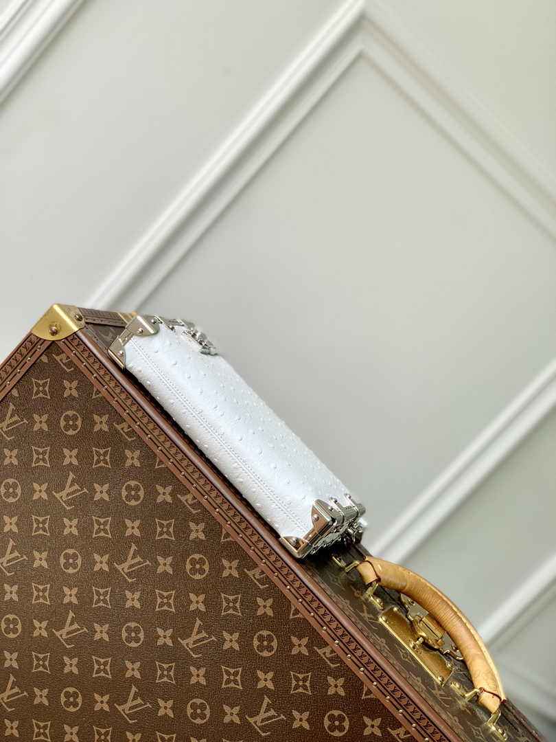 Louis Vuitton Slim Trunk M25445 Beige Ostrich leather - Default Title - View 4