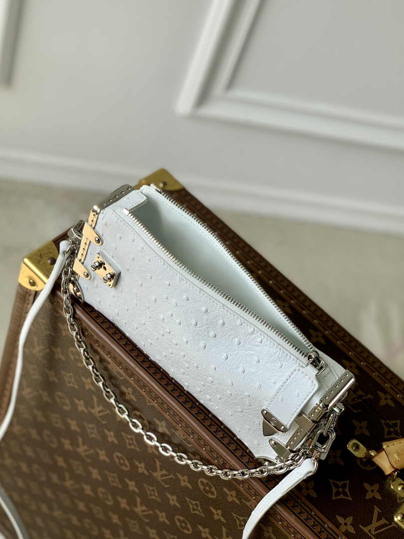 Louis Vuitton Slim Trunk M25445 Beige Ostrich leather - Default Title - View 9