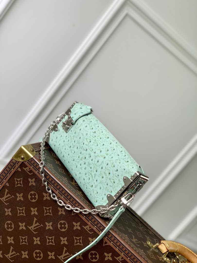 Louis Vuitton Slim Trunk M25445 Green Ostrich leather - Default Title - View 2