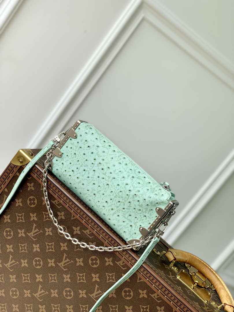 Louis Vuitton Slim Trunk M25445 Green Ostrich leather - Default Title - View 3