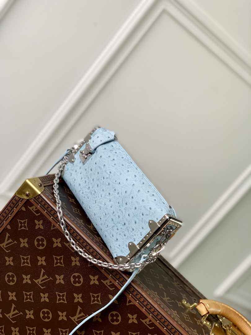 Louis Vuitton Slim Trunk M25445 Blue Ostrich leather - Default Title - View 2