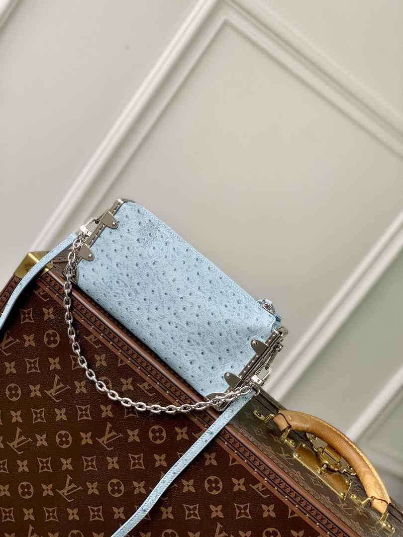 Louis Vuitton Slim Trunk M25445 Blue Ostrich leather - Default Title - View 3