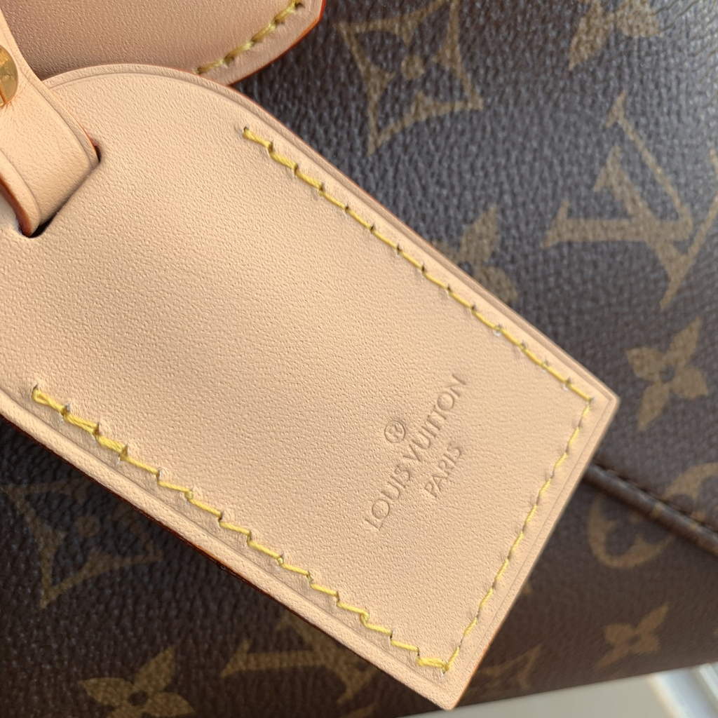 Louis Vuitton Slouchy MM Bag M12098