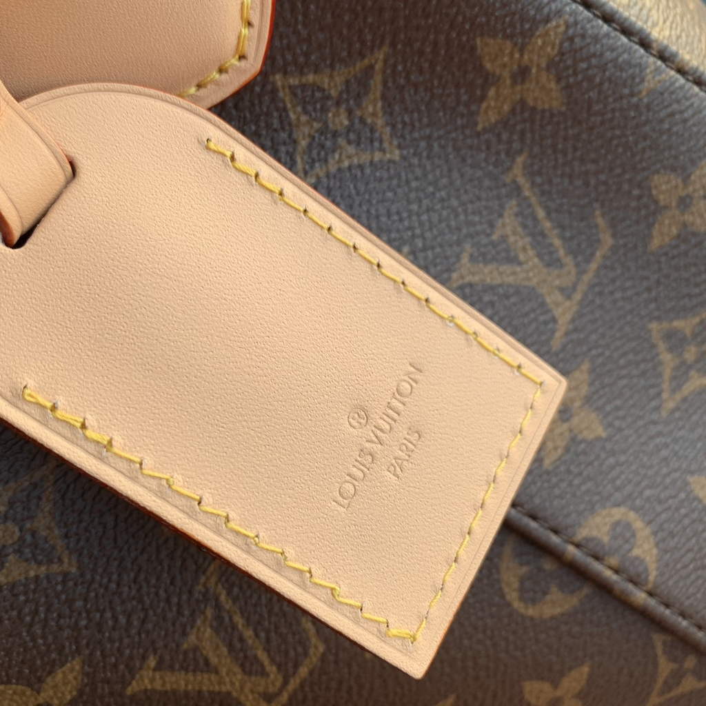 Louis Vuitton Slouchy PM Bag M11952