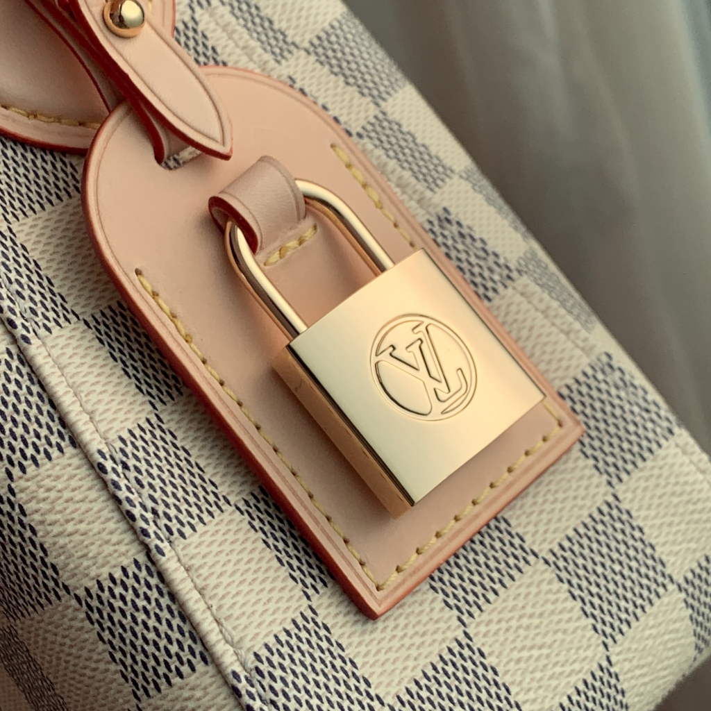 Louis Vuitton Slouchy PM Bag N00116