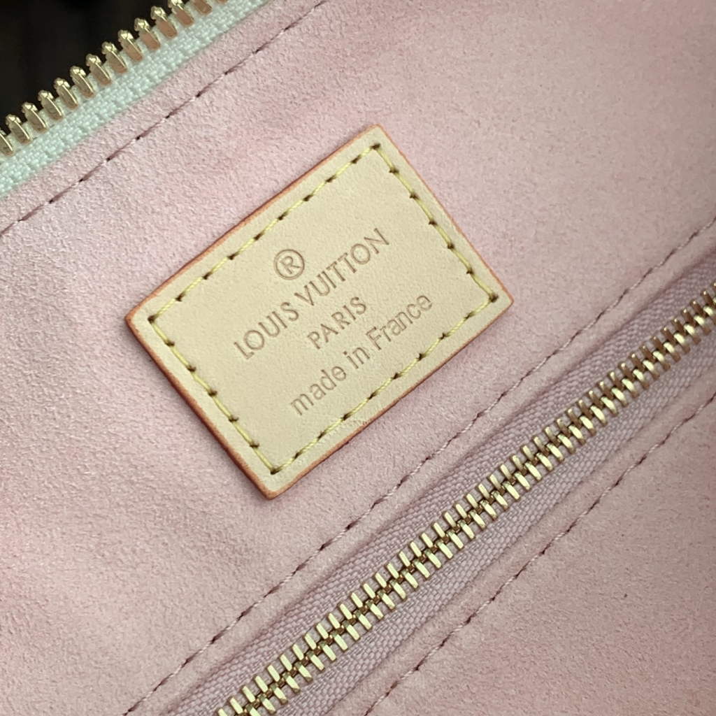 Louis Vuitton Slouchy PM Bag N00116