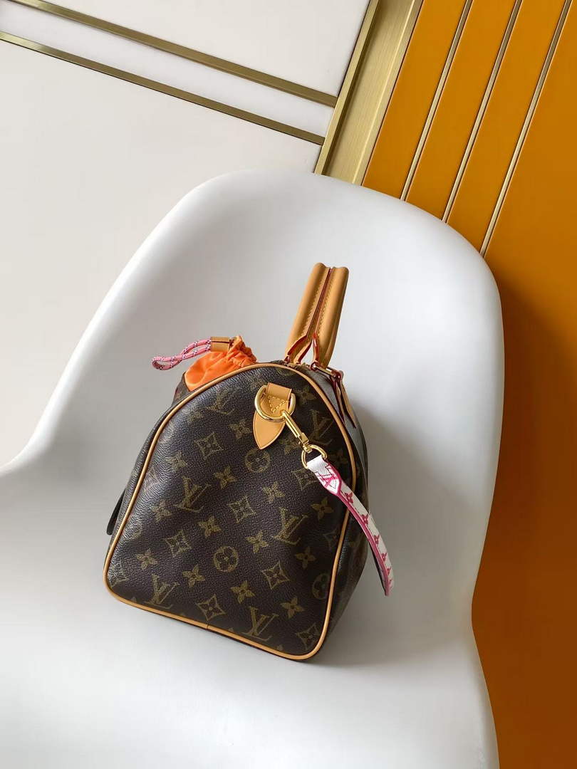 Louis Vuitton Speedy 30 Soft Bag M27512