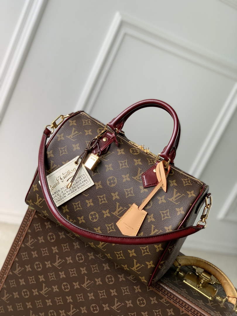 Louis Vuitton Speedy 30 Soft Celebration Bag M28379
