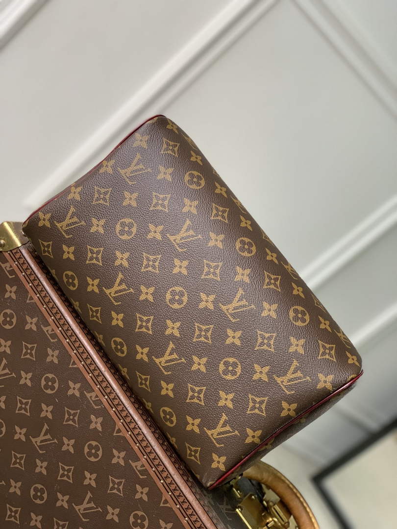 Louis Vuitton Speedy 30 Soft Celebration Bag M28379