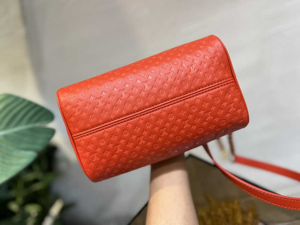 Louis Vuitton Speedy Bandoulière 20 Bag M22286 Monogram Leather