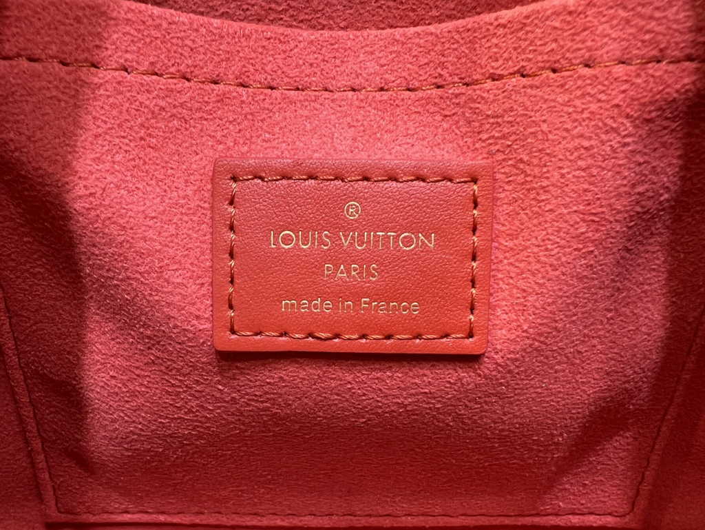 Louis Vuitton Speedy Bandoulière 20 Bag M22286 Monogram Leather