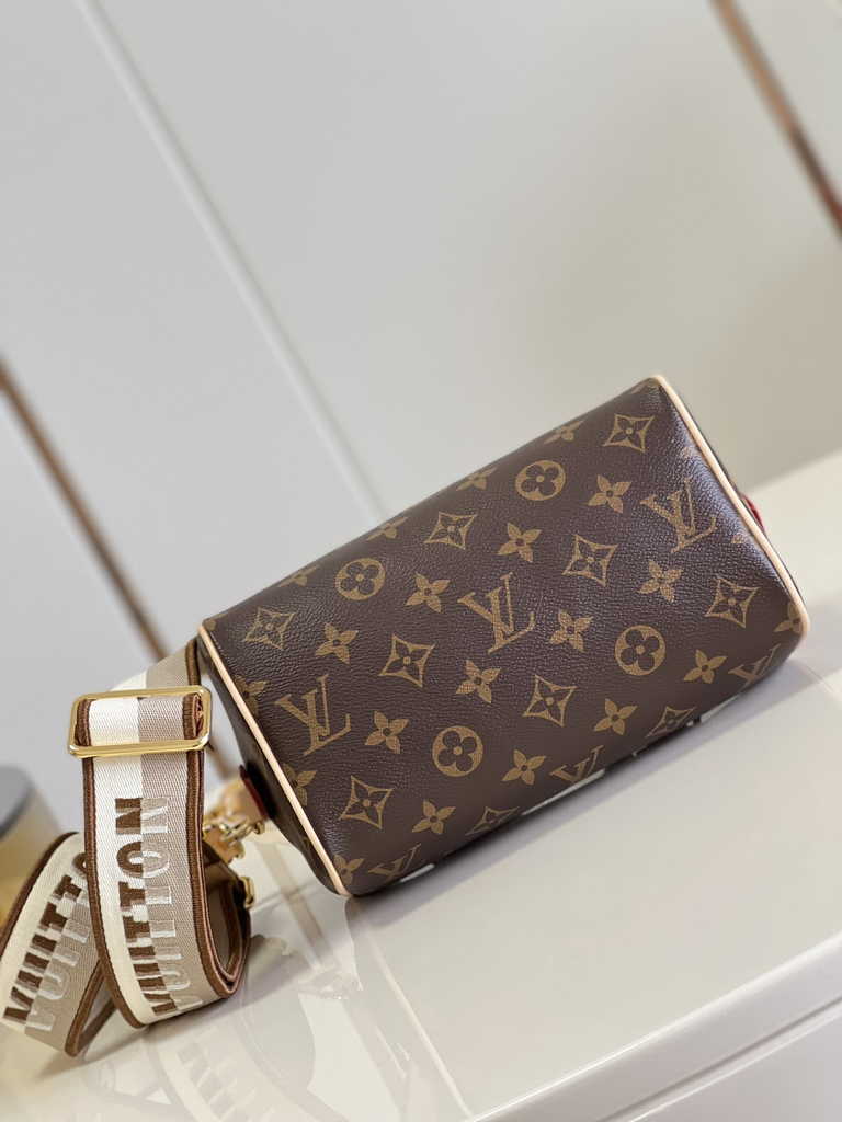 Louis Vuitton Speedy Bandoulière 20 Bag M46222 Monogram canvas