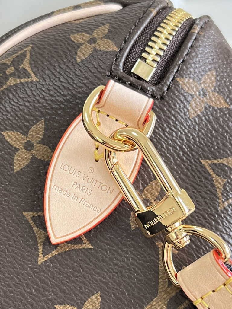 Louis Vuitton Speedy Bandoulière 20 Bag M46234 Monogram canvas