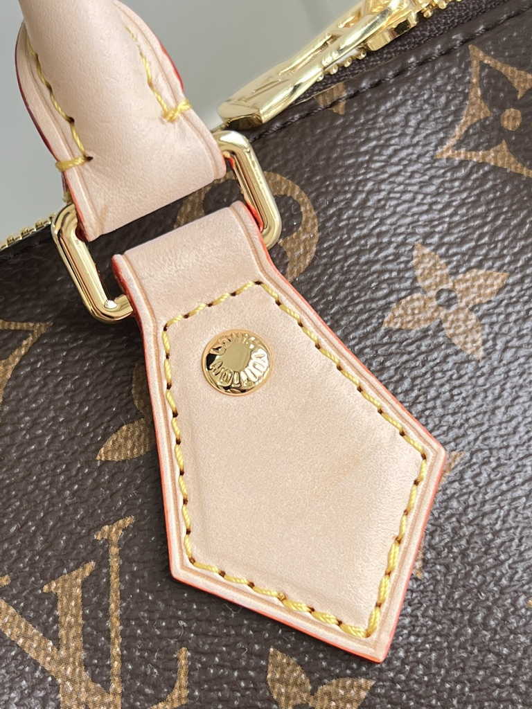 Louis Vuitton Speedy Bandoulière 20 Bag M46234 Monogram canvas