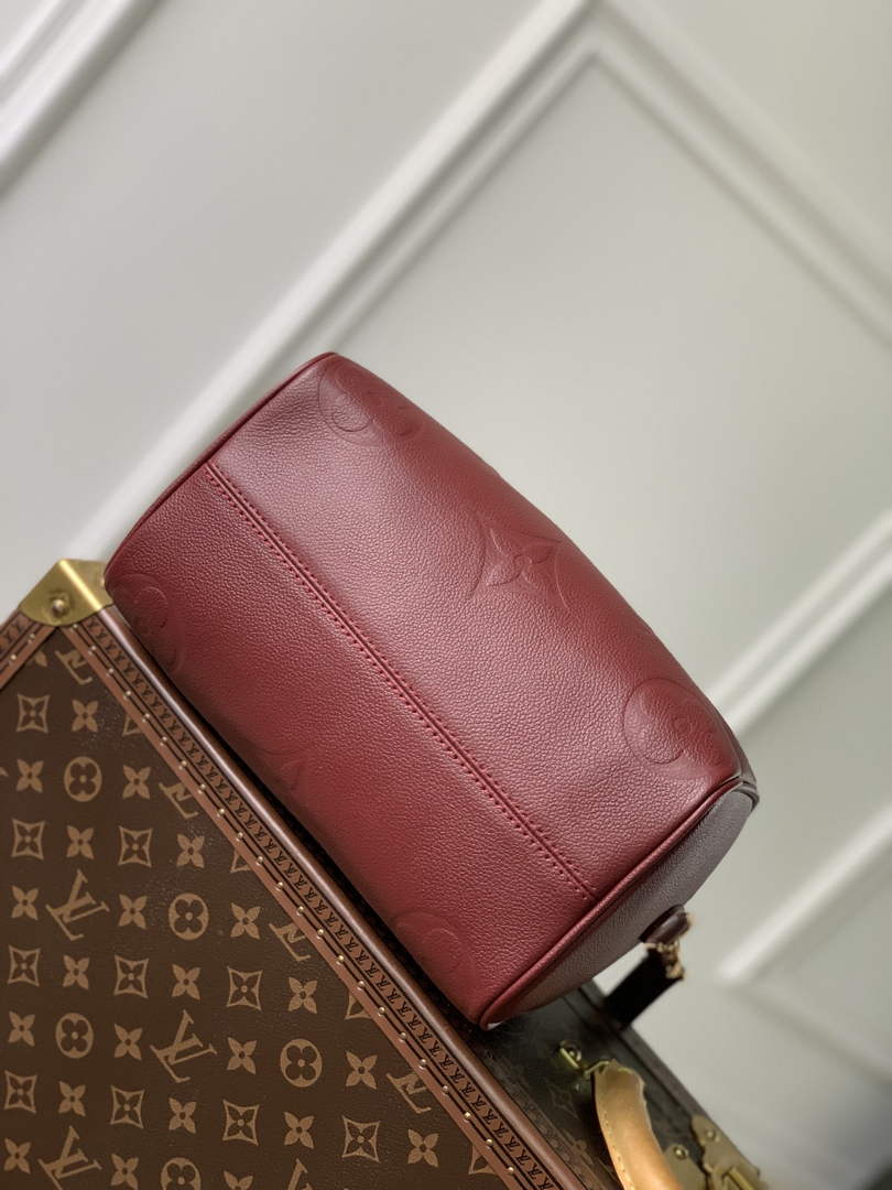 Louis Vuitton Speedy Bandoulière 25 Bag M59273 Red Leather
