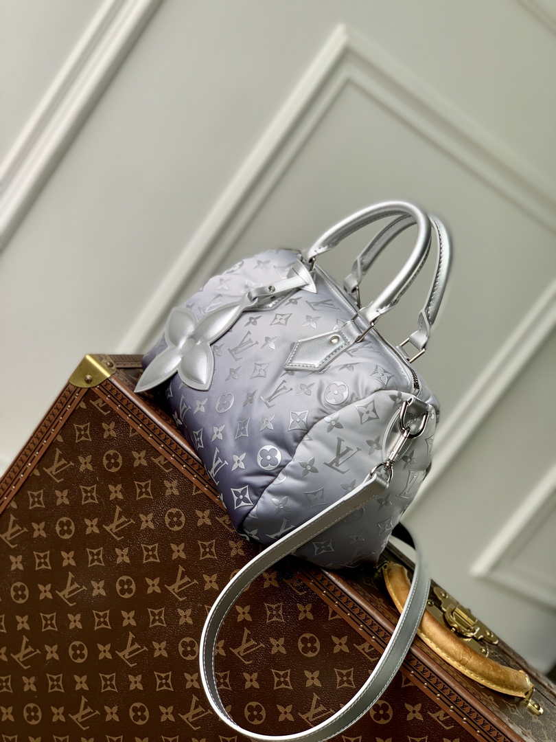 Louis Vuitton Speedy Bandoulière 25 M11848