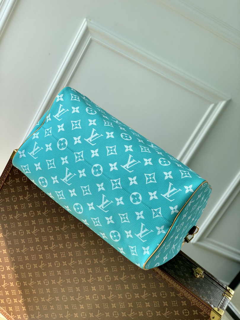 Louis Vuitton Speedy P9 Bandoulière 40 M11564