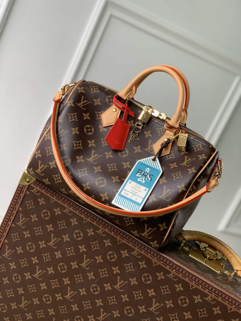 Louis Vuitton Speedy Soft 30 Crafty Bag M11945