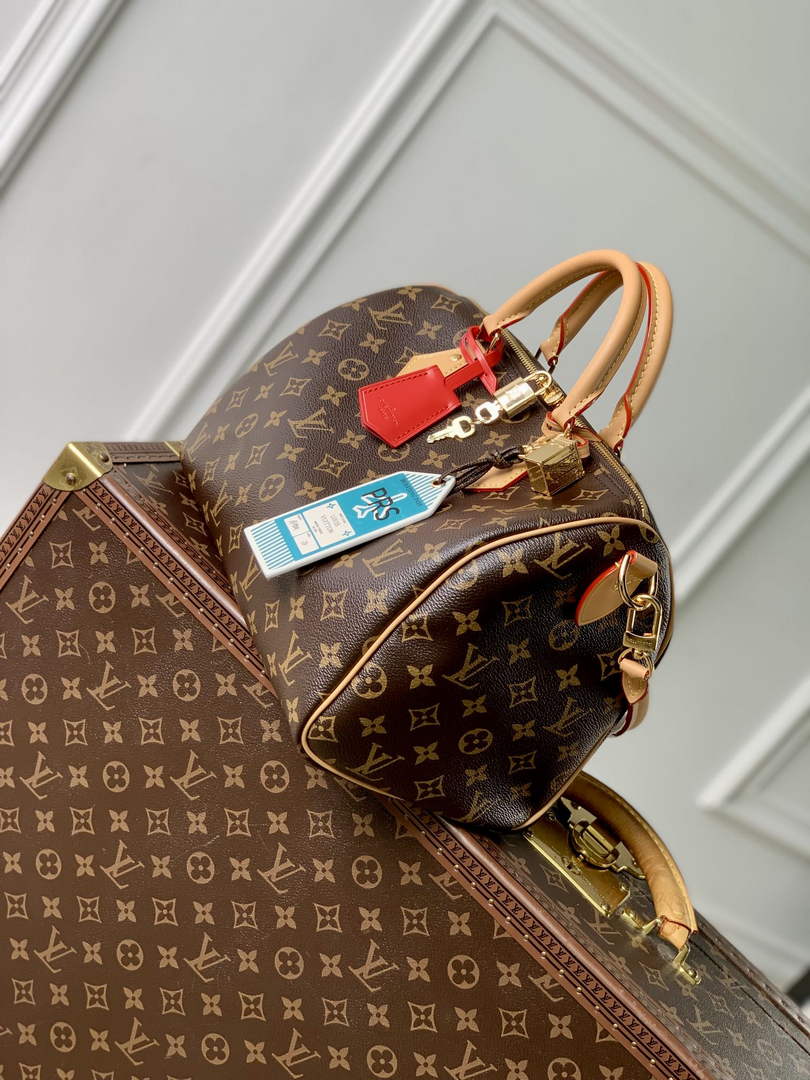 Louis Vuitton Speedy Soft 30 Crafty Bag M11945