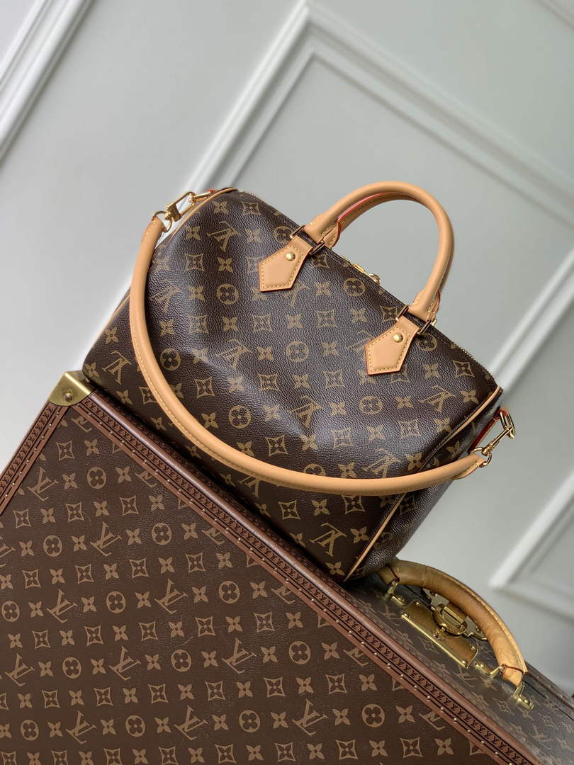 Louis Vuitton Speedy Soft 30 Crafty Bag M11945