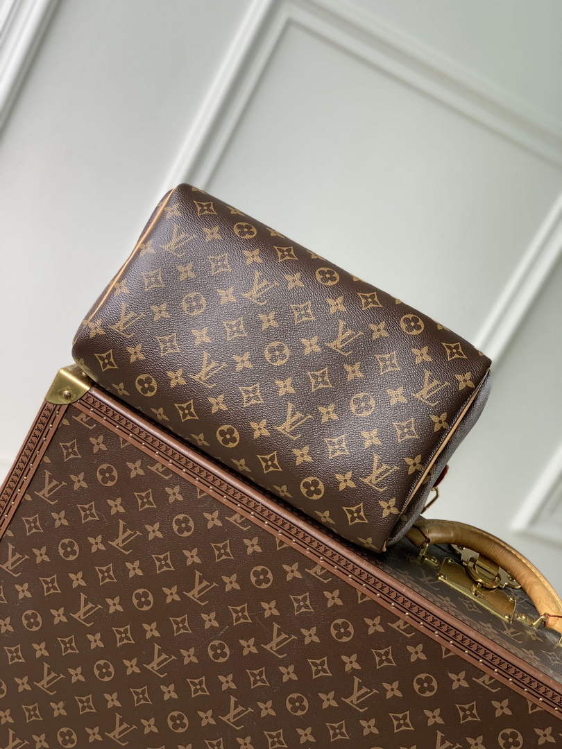 Louis Vuitton Speedy Soft 30 Crafty Bag M11945