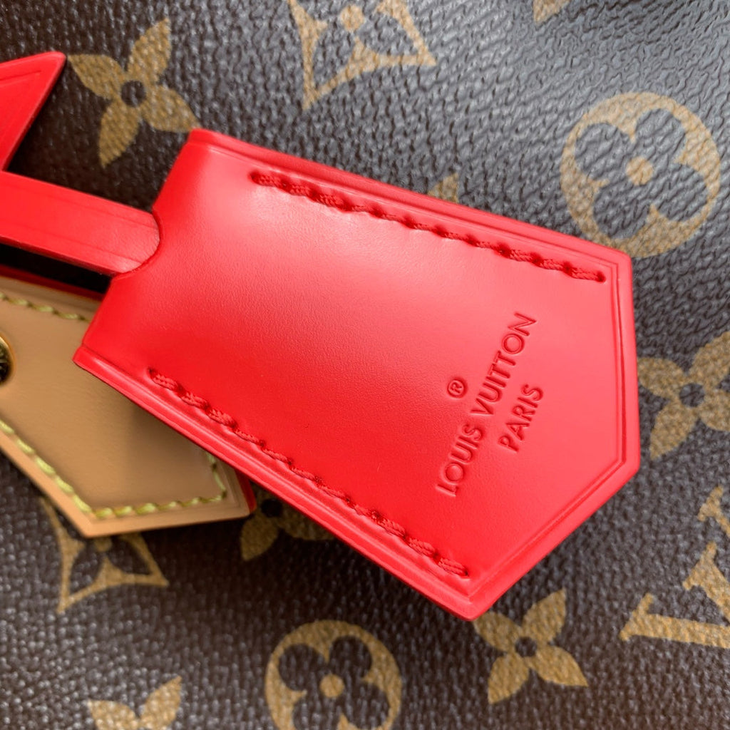 Louis Vuitton Speedy Soft 30 Crafty Bag M11945