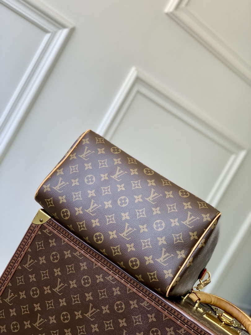 Louis Vuitton Speedy Soft 30 Lucky M15107