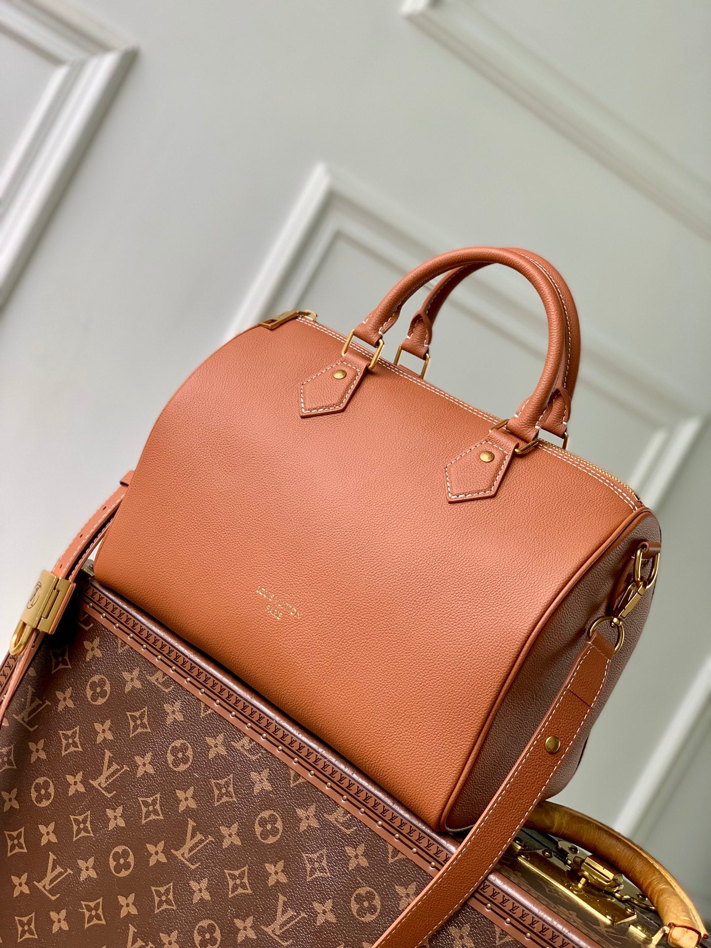 Louis Vuitton Speedy Soft 30 M24892