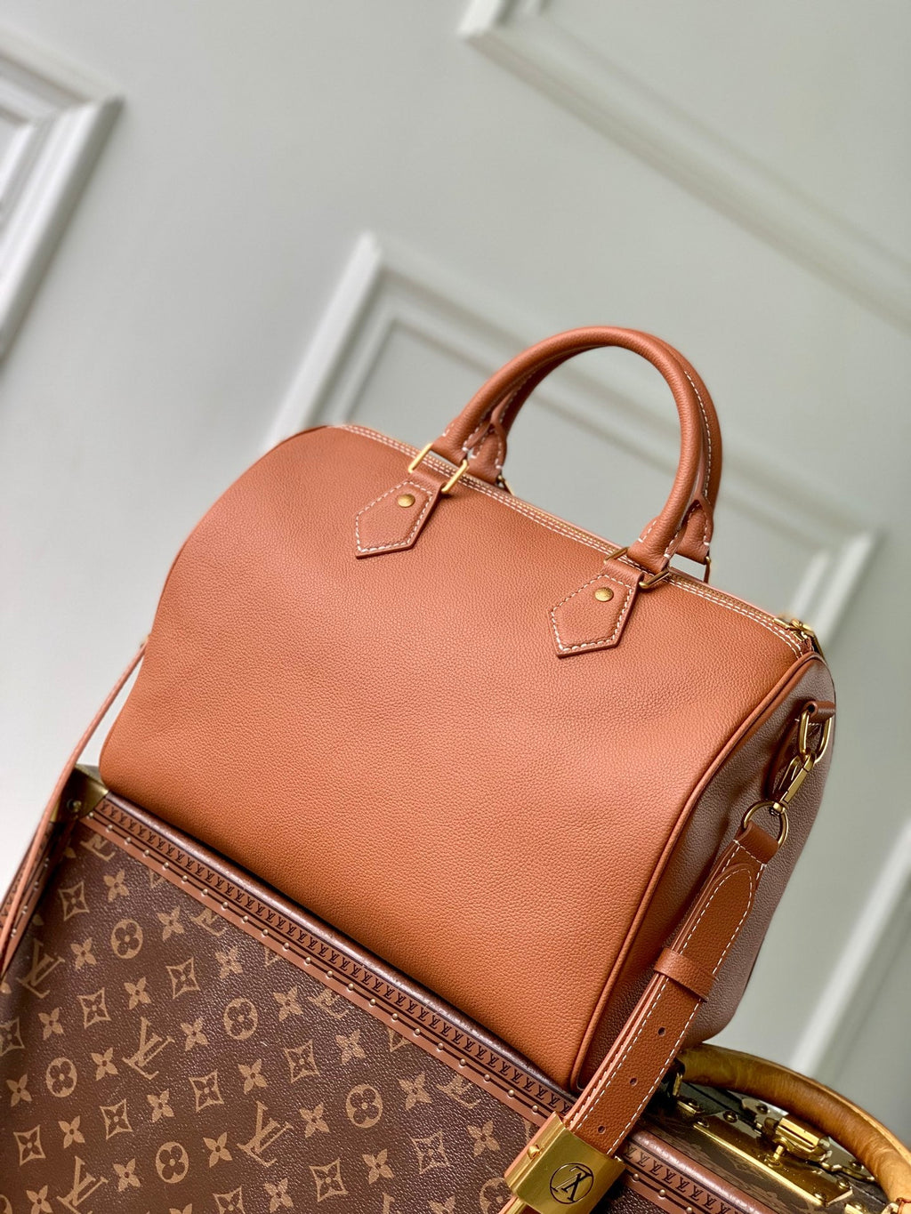 Louis Vuitton Speedy Soft 30 M24892