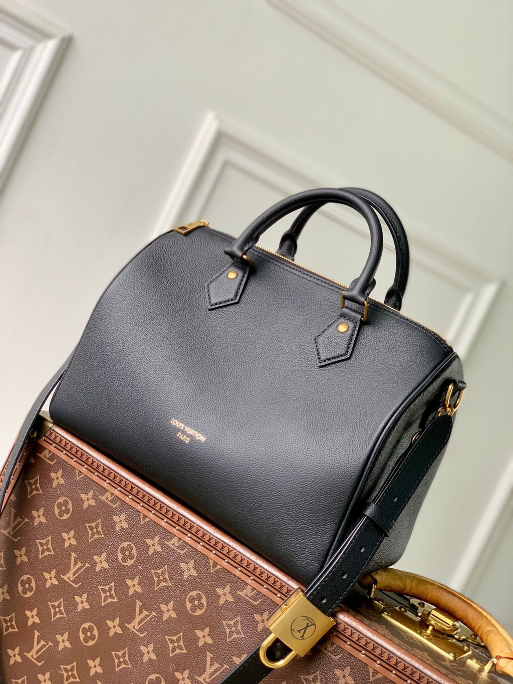 Louis Vuitton Speedy Soft 30 M24891