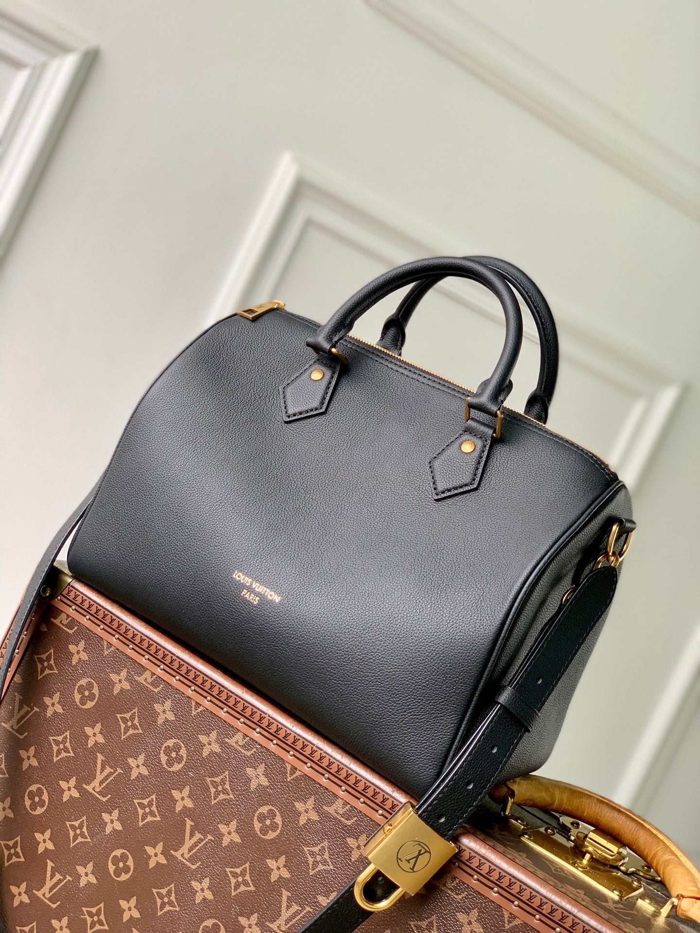 Louis Vuitton Speedy Soft 30 M24891
